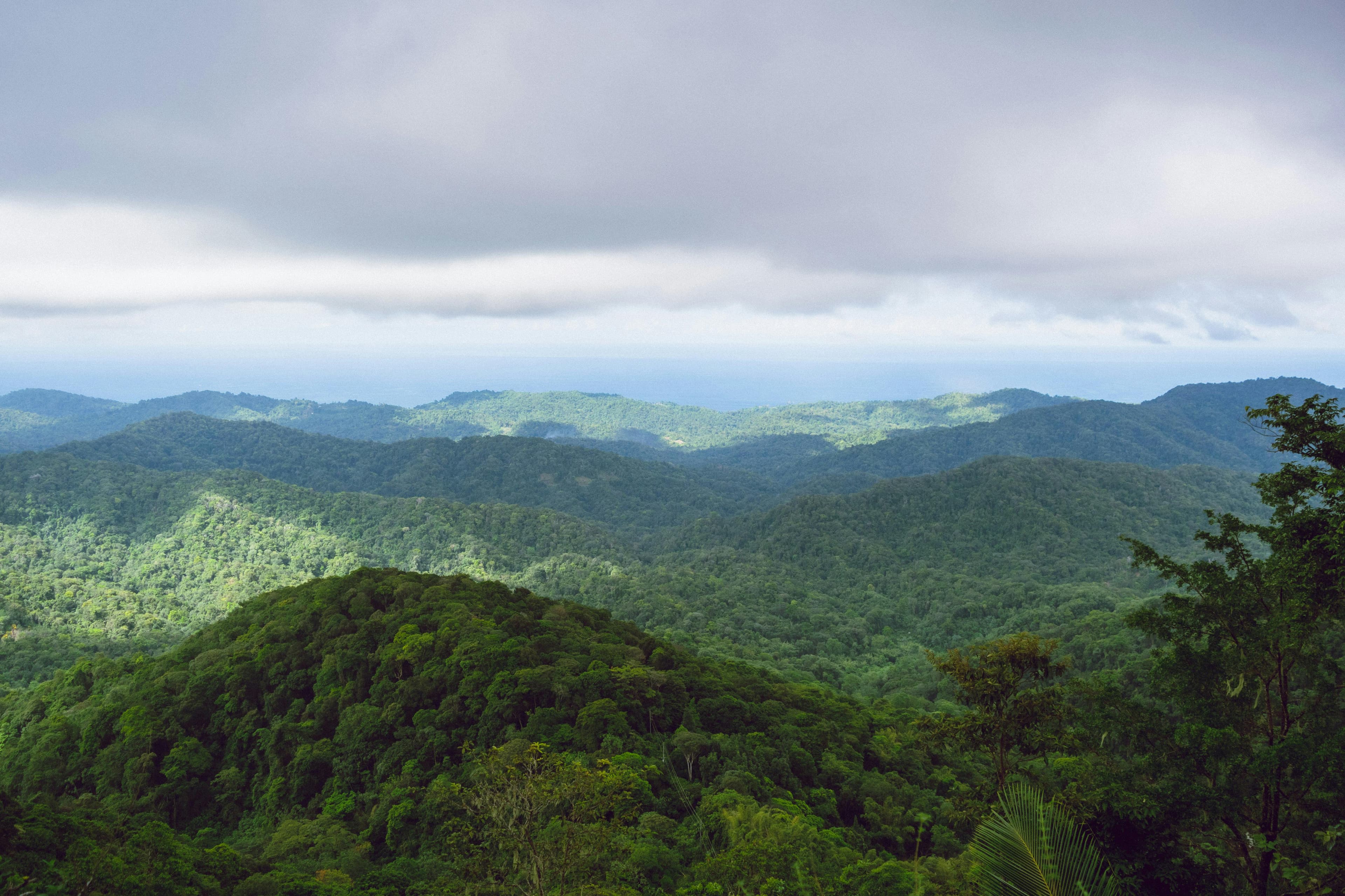 Rolling green tropical hills of Negros Island