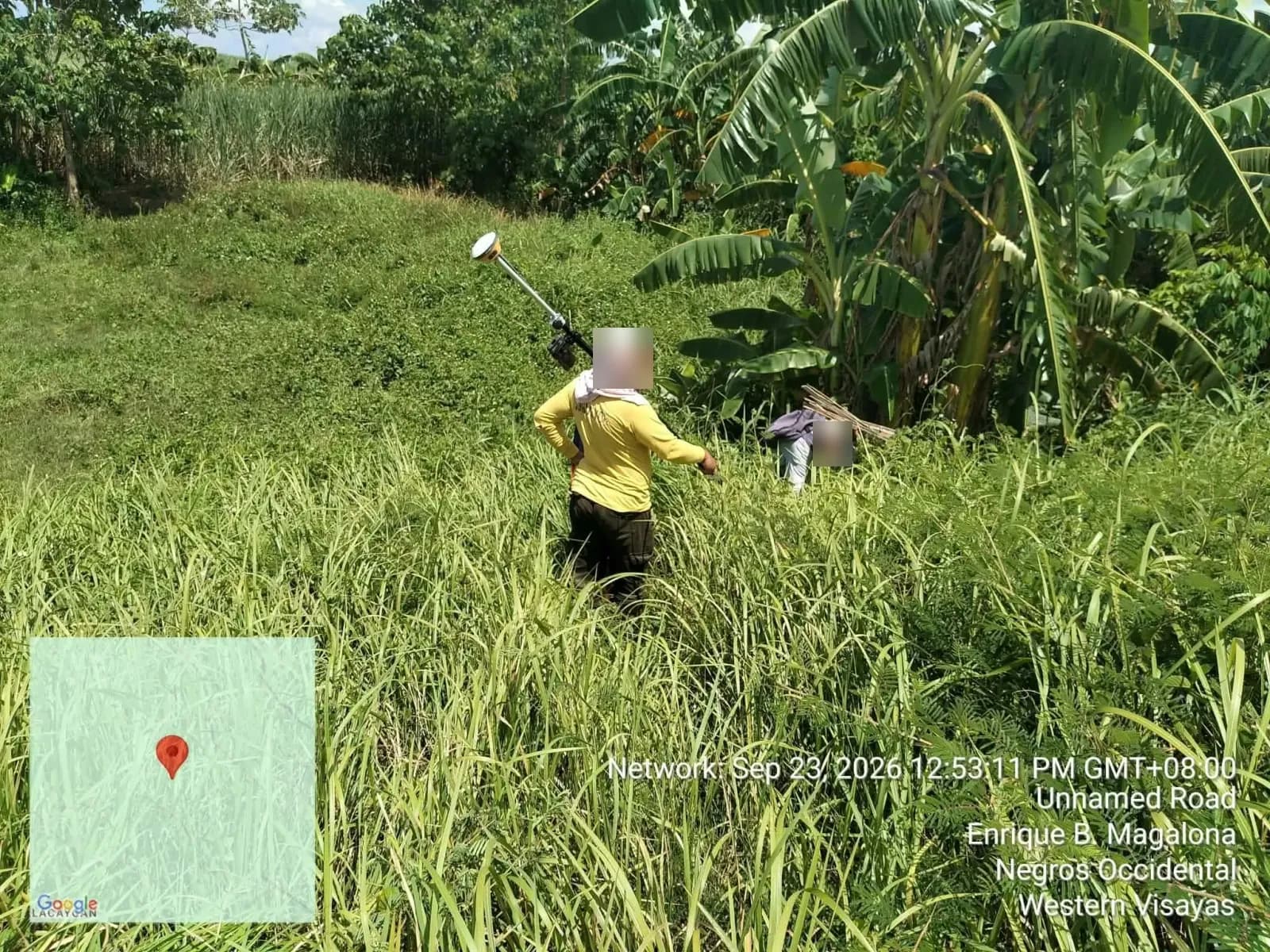 GNSS pole holder and another crew member moving through tall grass beside banana plants