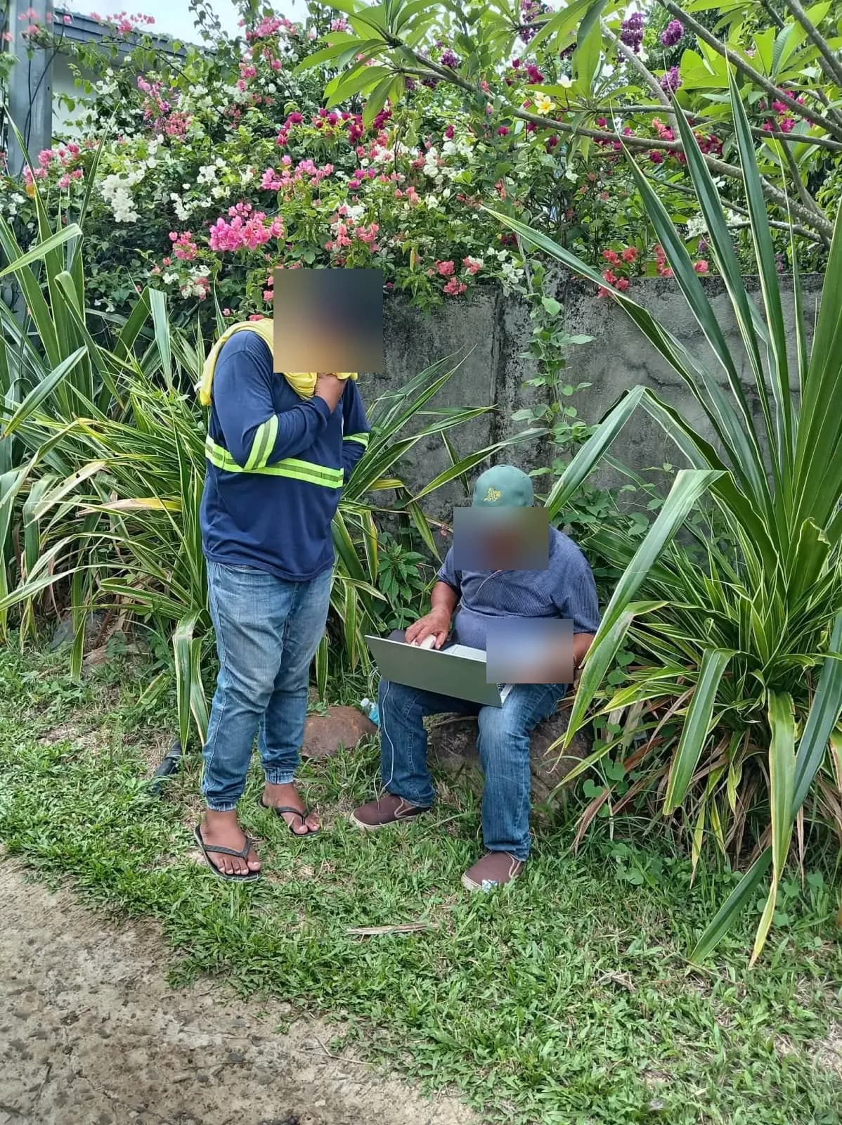 Two people reviewing a laptop and an open paper record beside a concrete wall, flowering shrubs, and tall plants
