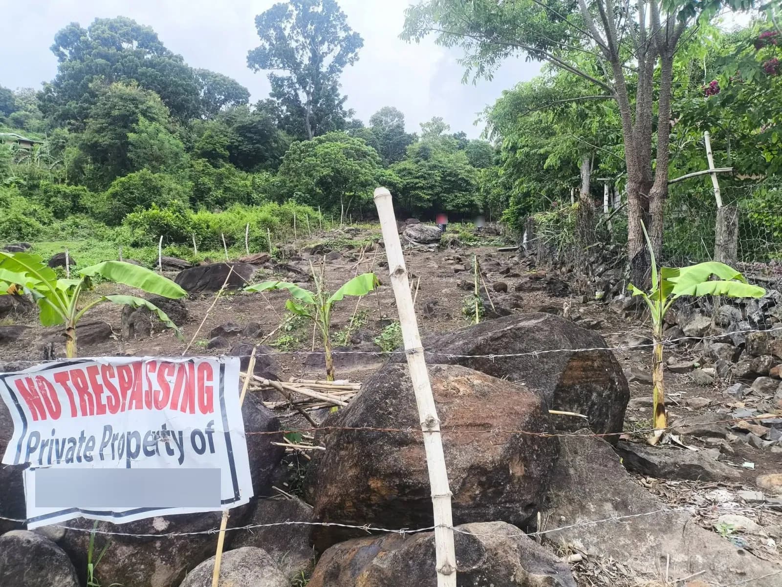 Fenced rocky site with large boulders, young banana plants, a private-property sign, and two people in the distance