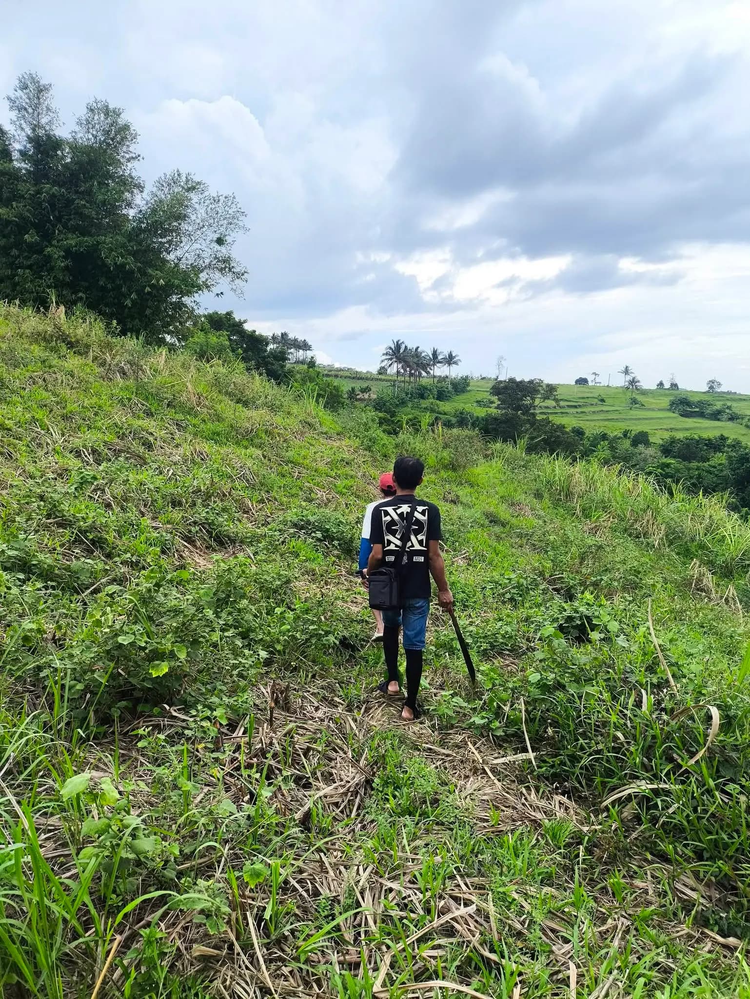 Two Leonor Surveying Services field crew members walking up a grassy hillside slope carrying survey equipment and a tripod staff during a parcelary survey in Silay, Negros Occidental, with terraced green fields and coconut trees visible across the valley below